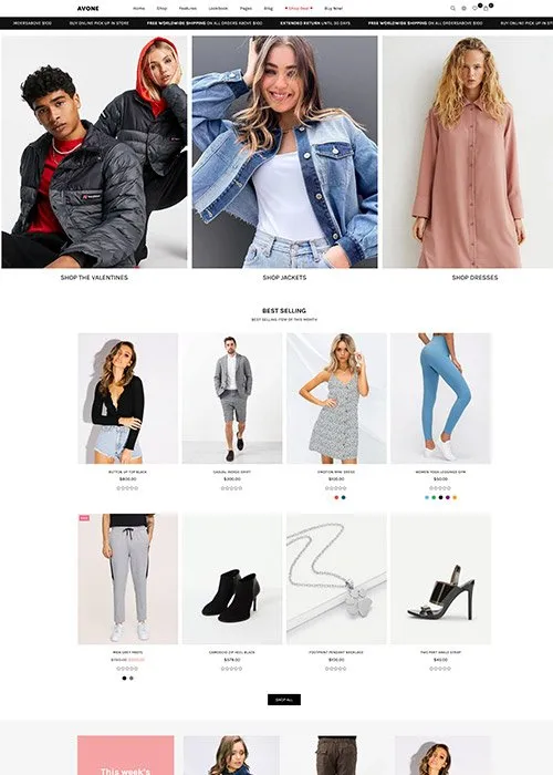 Modern shopify theme