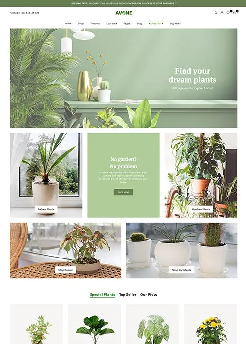 Plants online store