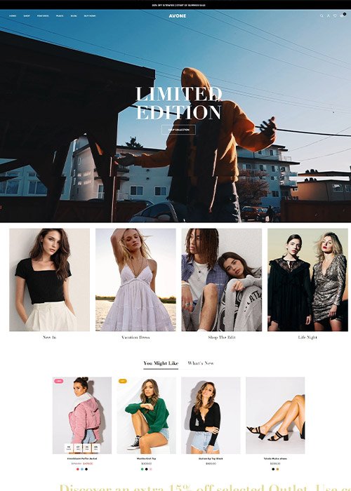 Premium Shopify theme