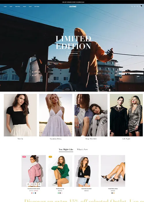 Premium Shopify theme