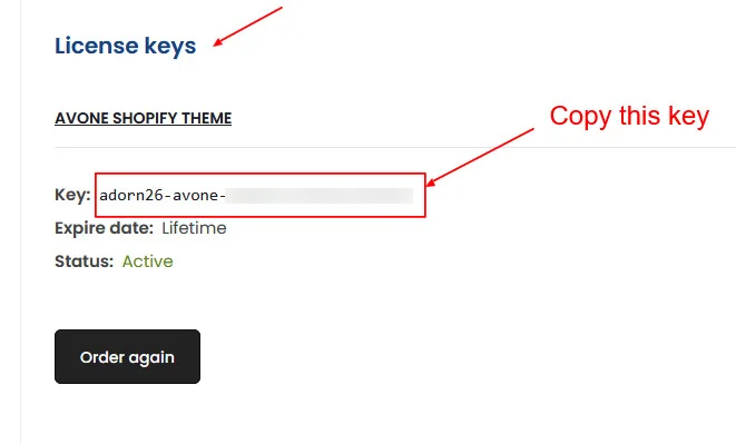 Premium shopify themes