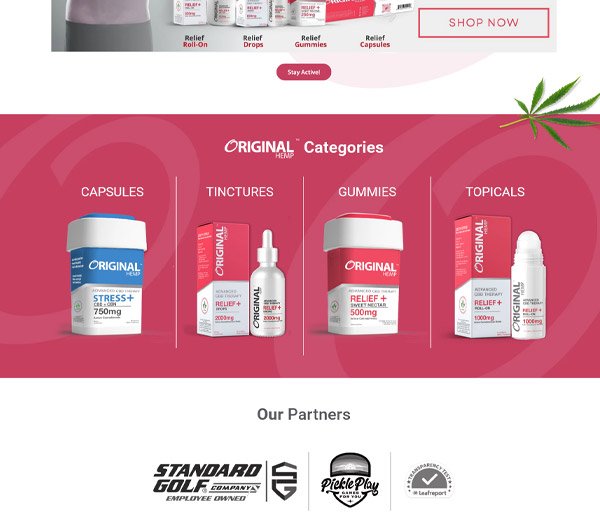 avone shopify theme